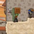 Cactus Vaquero